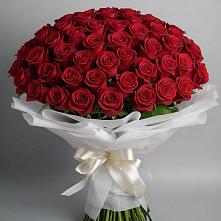 Букет 101 Красная роза Блэк Мэджик в Ивановской