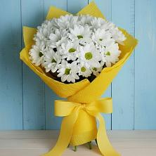 Букет цветов из:  Хризантемы в Ивановской