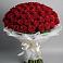 Букет 101 Красная роза Блэк Мэджик в Ивановской