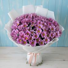 Букет цветов из:  Хризантемы в Ивановской