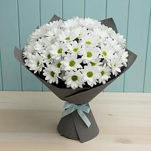 Букет цветов из:  Хризантемы в Ивановской