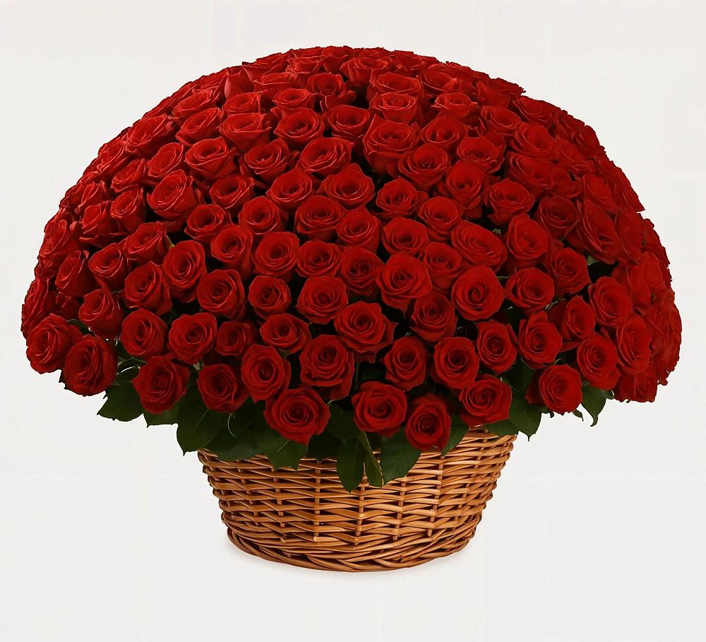 Премиум букет из: Розы в Ивановской