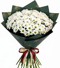 Букет цветов из:  Хризантемы #REPLACE_PRED# Ивановской