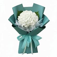 Букет цветов из:  Гортензия в Ивановской